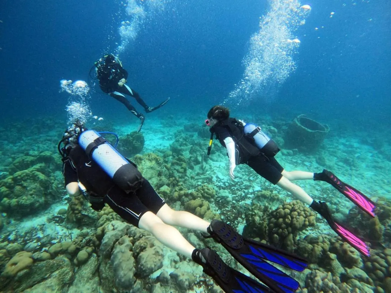Tropical Divers Resort Playa 3*,  Bonaire, Sint Eustatius en Saba