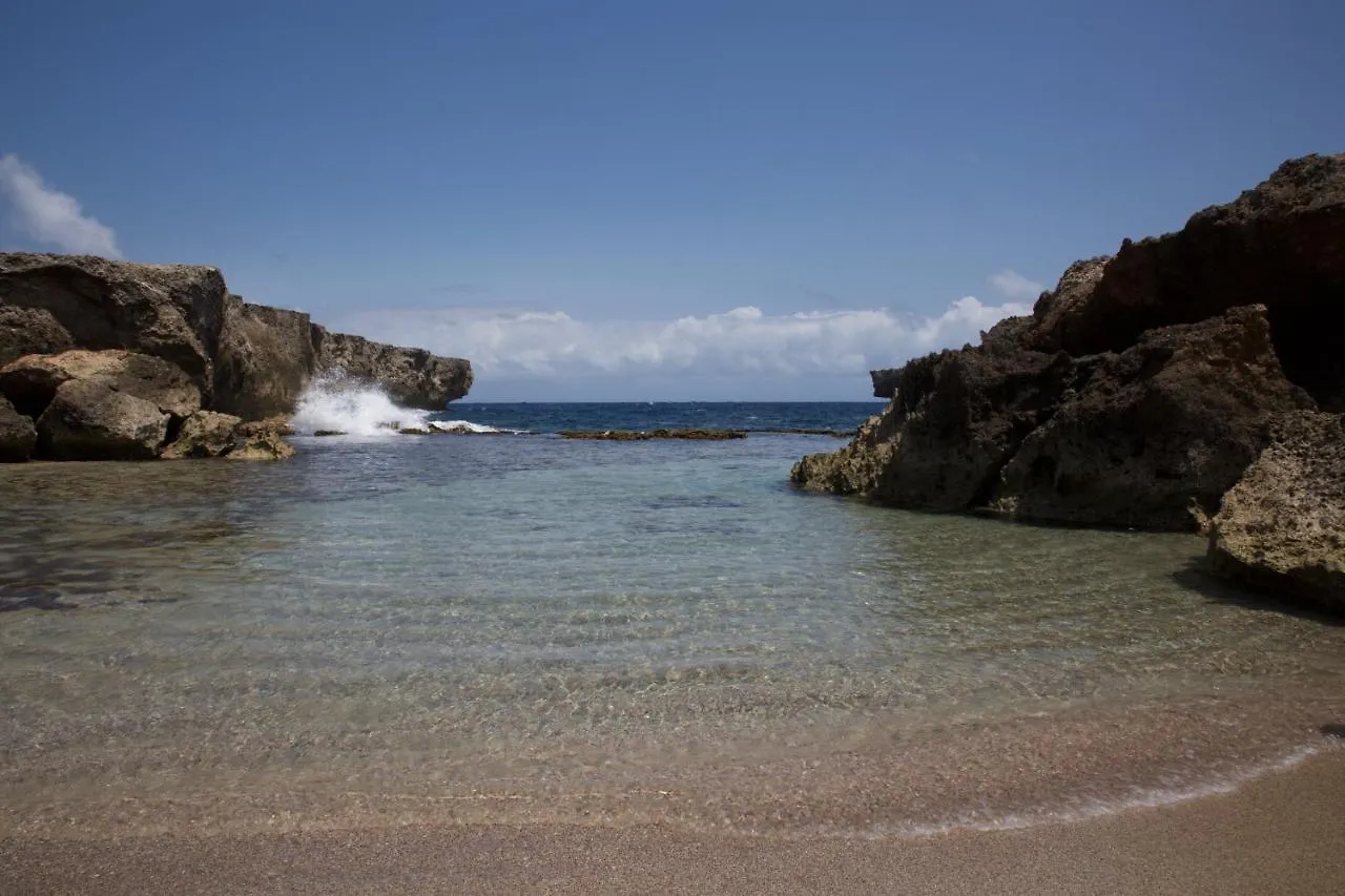 Tropical Divers Resort Playa 3*,